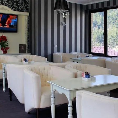 Appartement мая 220 свети спас Velingrad